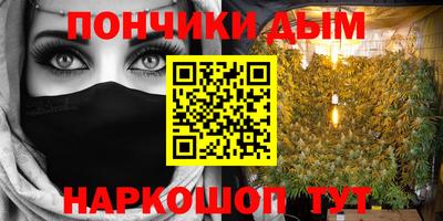 МДПВ Бийск