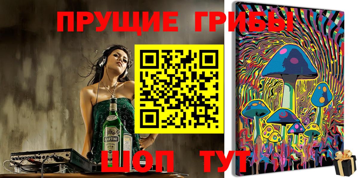 Псилоцибиновые грибы Psilocybe Киселёвск