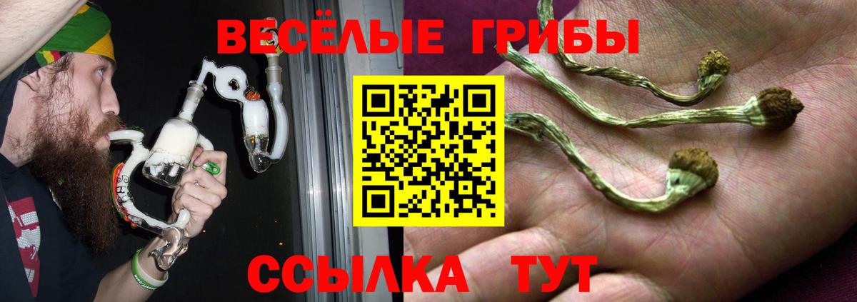 Псилоцибиновые грибы MAGIC MUSHROOMS  Вход с VPN  Псилоцибиновые грибы MAGIC MUSHROOMS  Киселёвск 